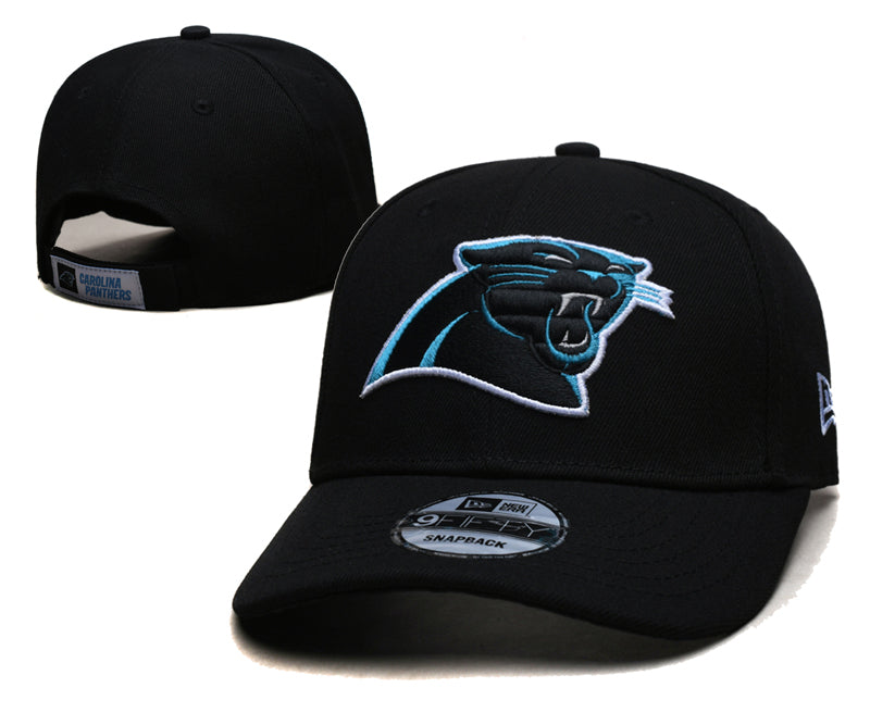 Panthers Hats