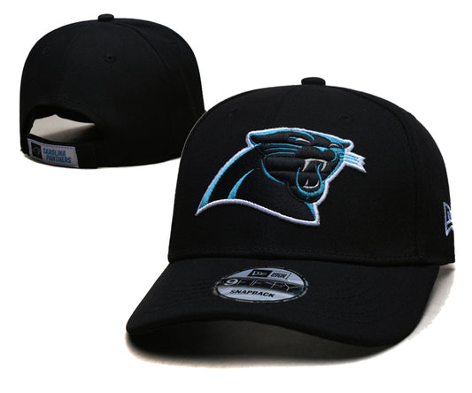 Panthers Hats
