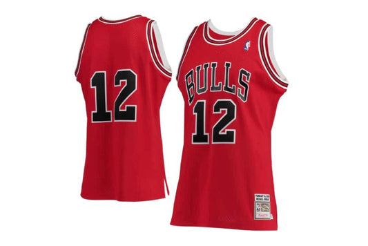 Michael Jordan #12 Jersey