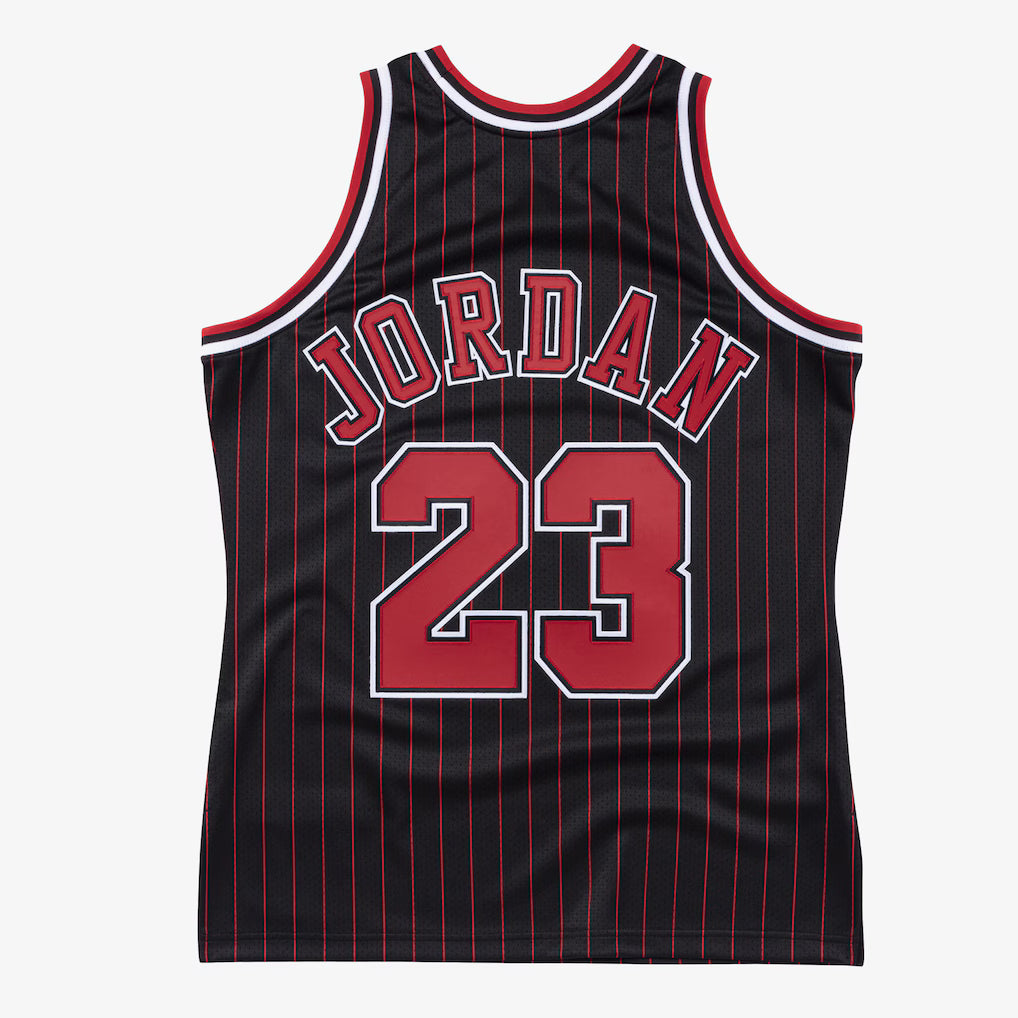 Michael Jordan 1995 Jersey